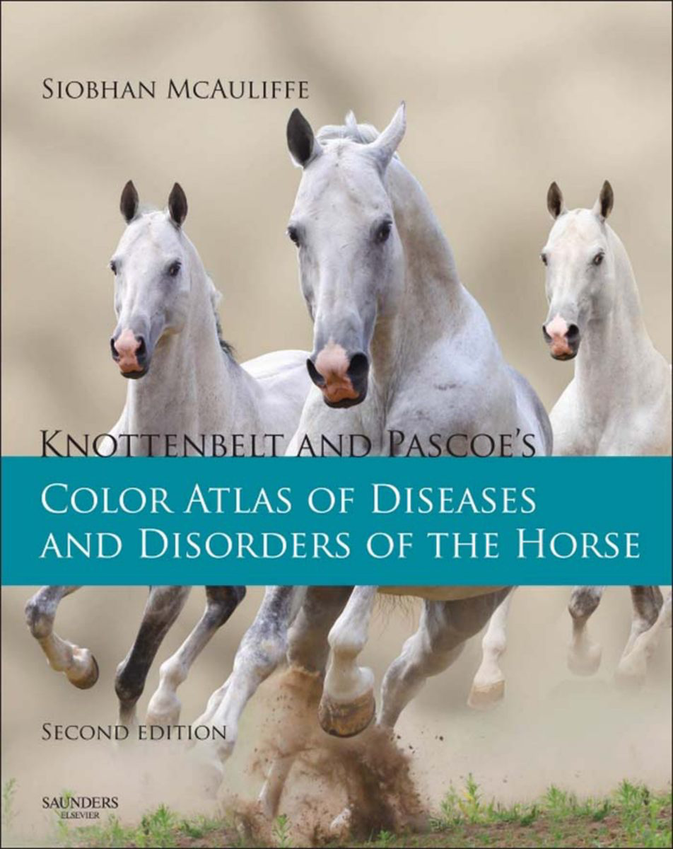 Knottenbelt And Pascoes Color Atlas Of Diseases And Disorders Of The Horse Second Edition 2014
