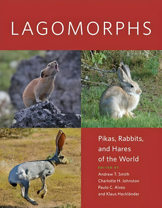 Lagomorphs Pikas Rabbits And Hares Of The Worlds