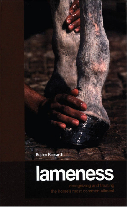Lameness Recognizing And Treating The Horses Most Common Ailment