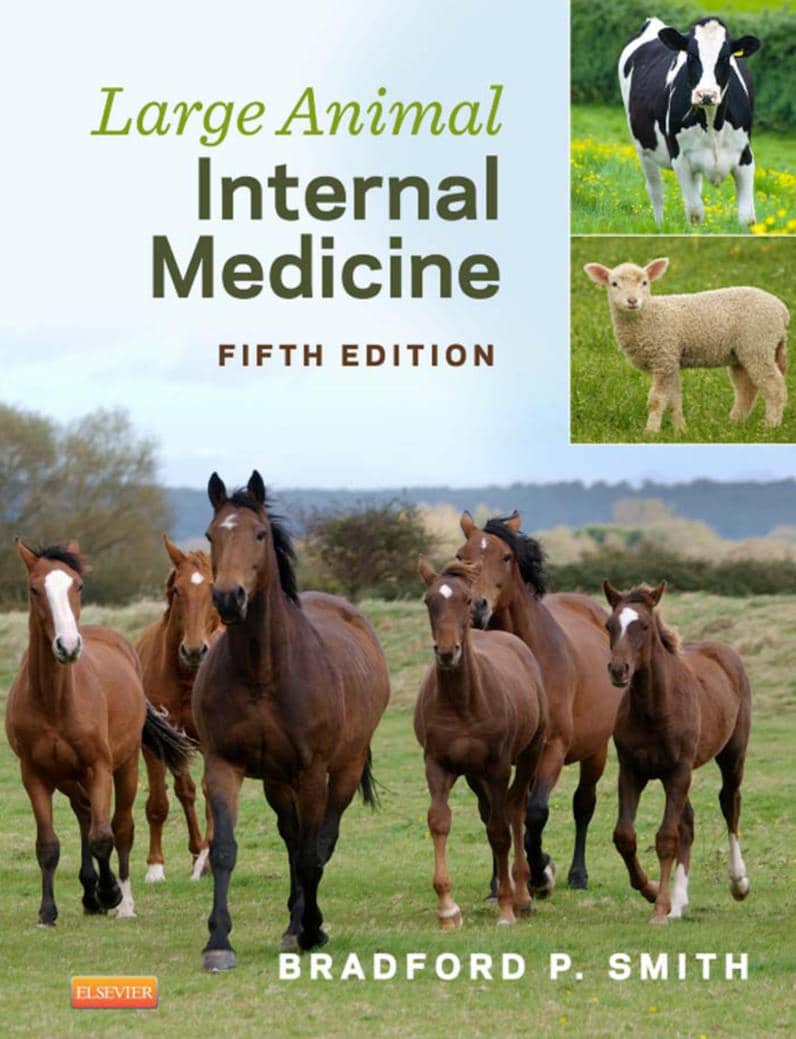 Large Animal Internal Medicine Fifth Edition