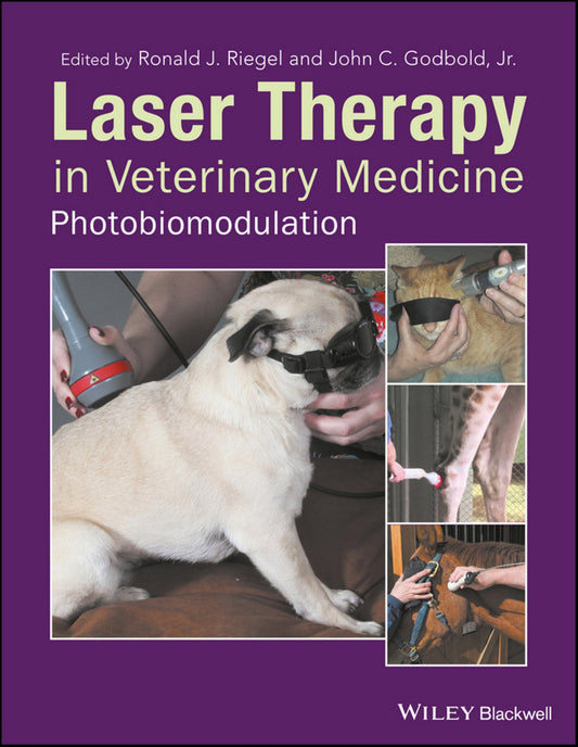 Laser Therapy In Veterinary Medicine