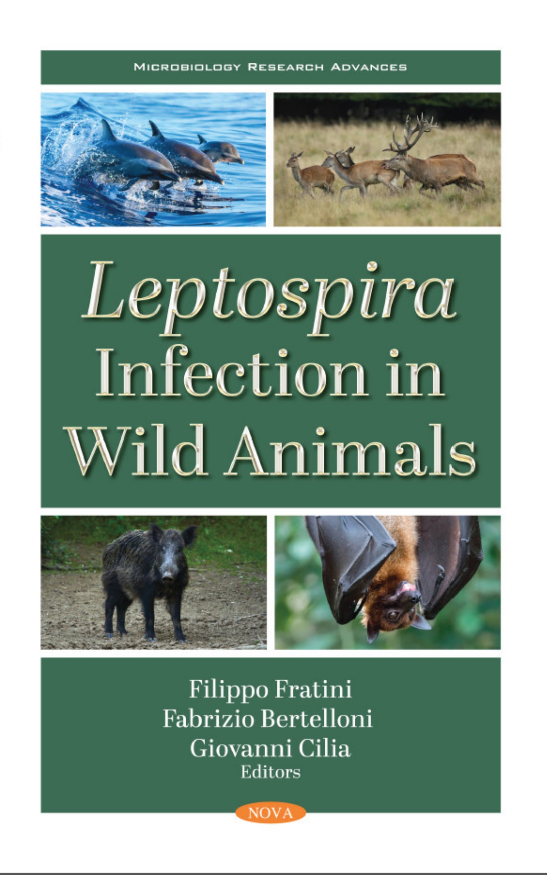 Leptospira Infection In Wild Animals