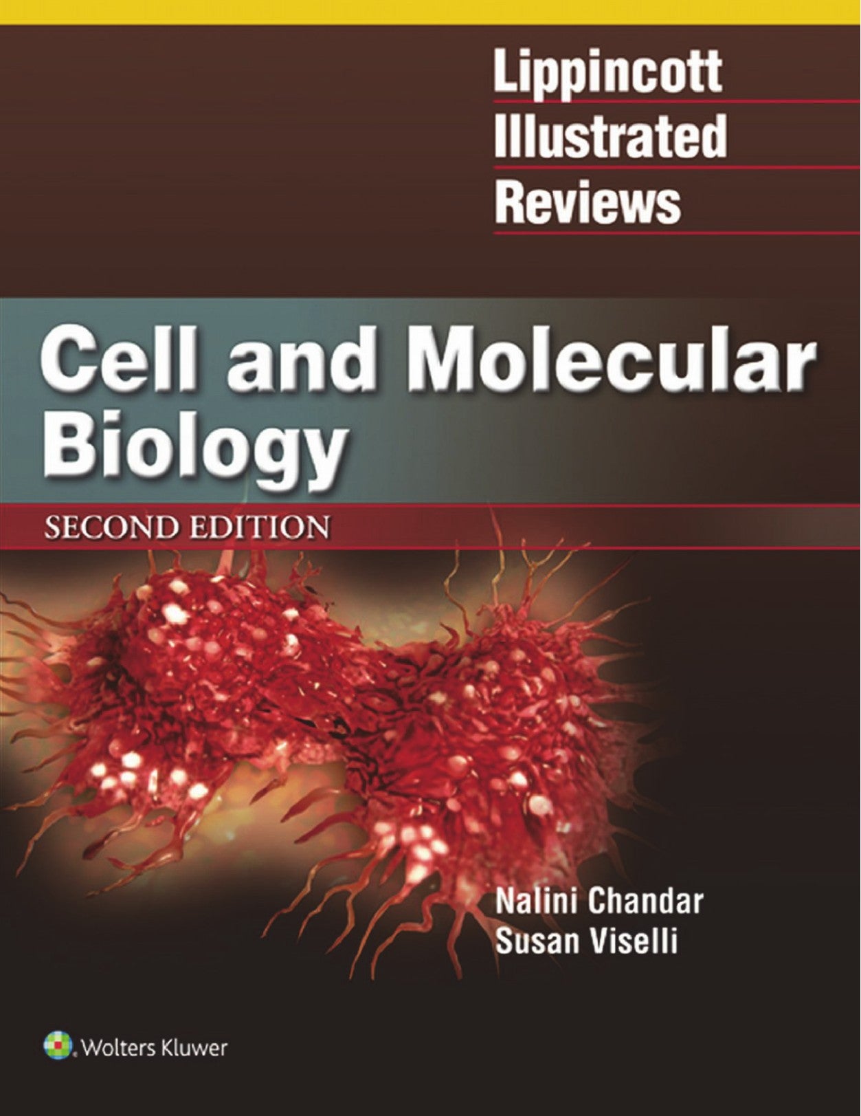 Lippincott Illustrated Reviews Cell And Molecular Biology 2Nd Edition