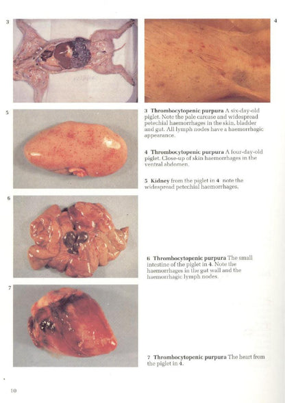 Look inside page 4