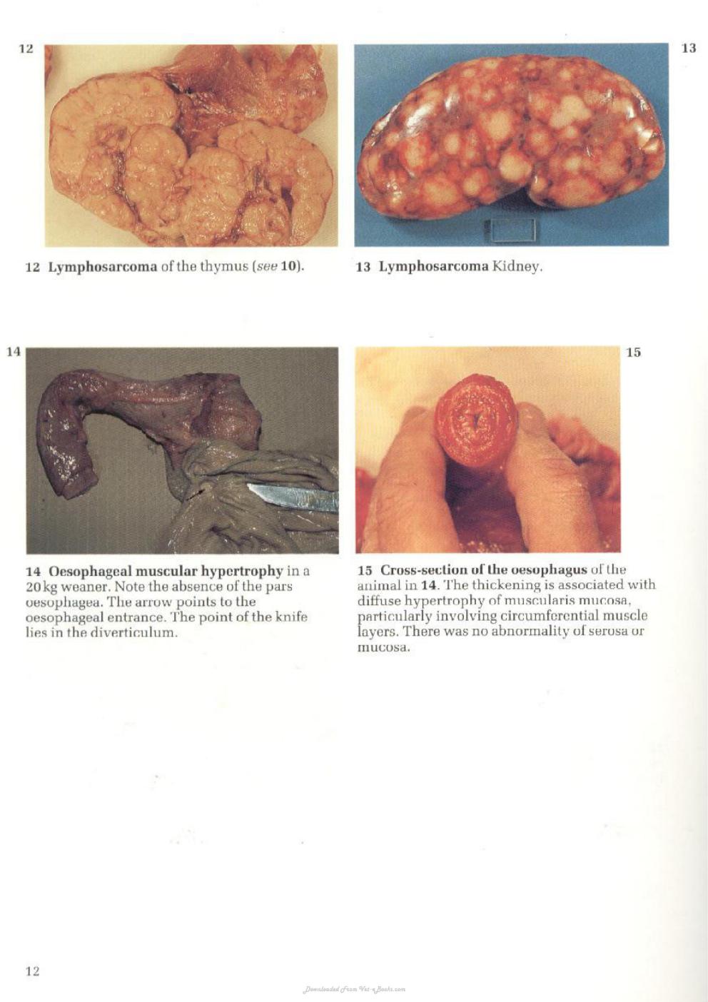 Look inside page 6