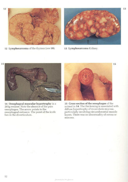 Look inside page 6