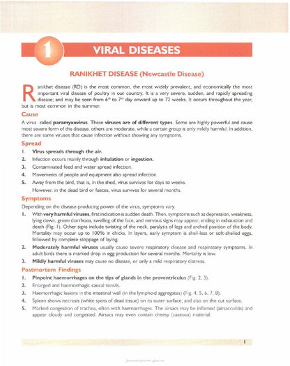 Look Inside page 10 - A Colour Atlas Of Poultry Diseases An Aid For Farmers And Poultry Professionals