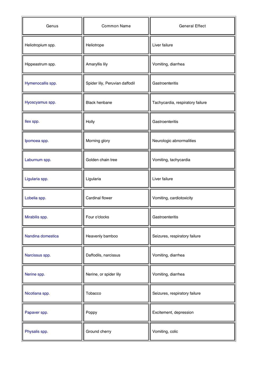 Preview page of A Guide to Poisonous House and Garden Plants