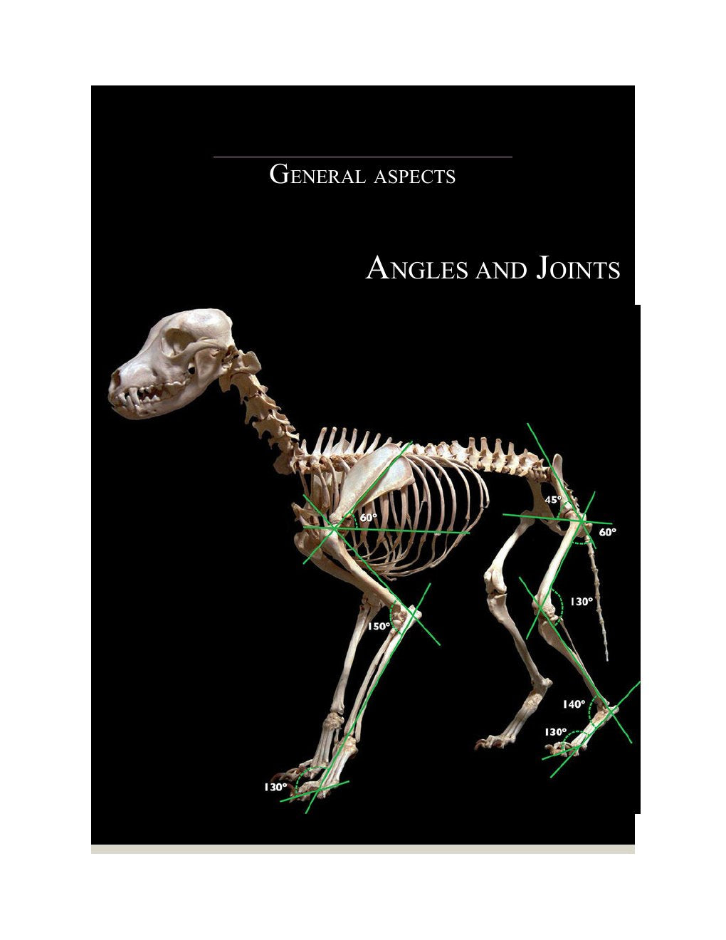 Look Inside page 9 - Atlas of Canine Arthrology, Updated edition with 3D Animations (PDF+ePub+Animations).zip