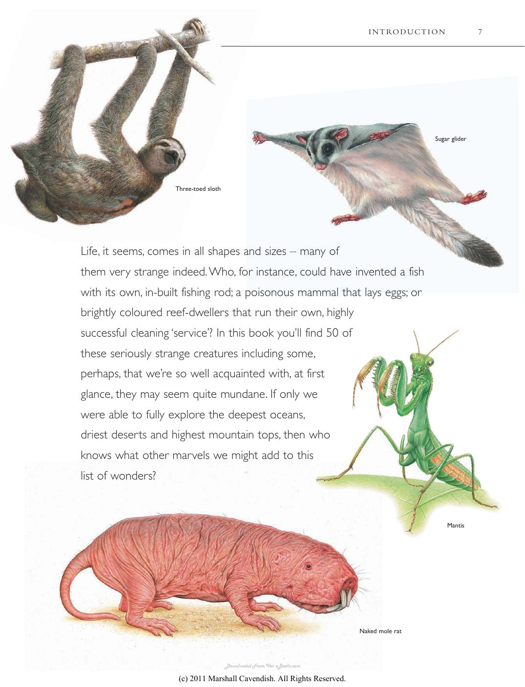 Look Inside page 8 - Atlas Of The Worlds Strangest Animals