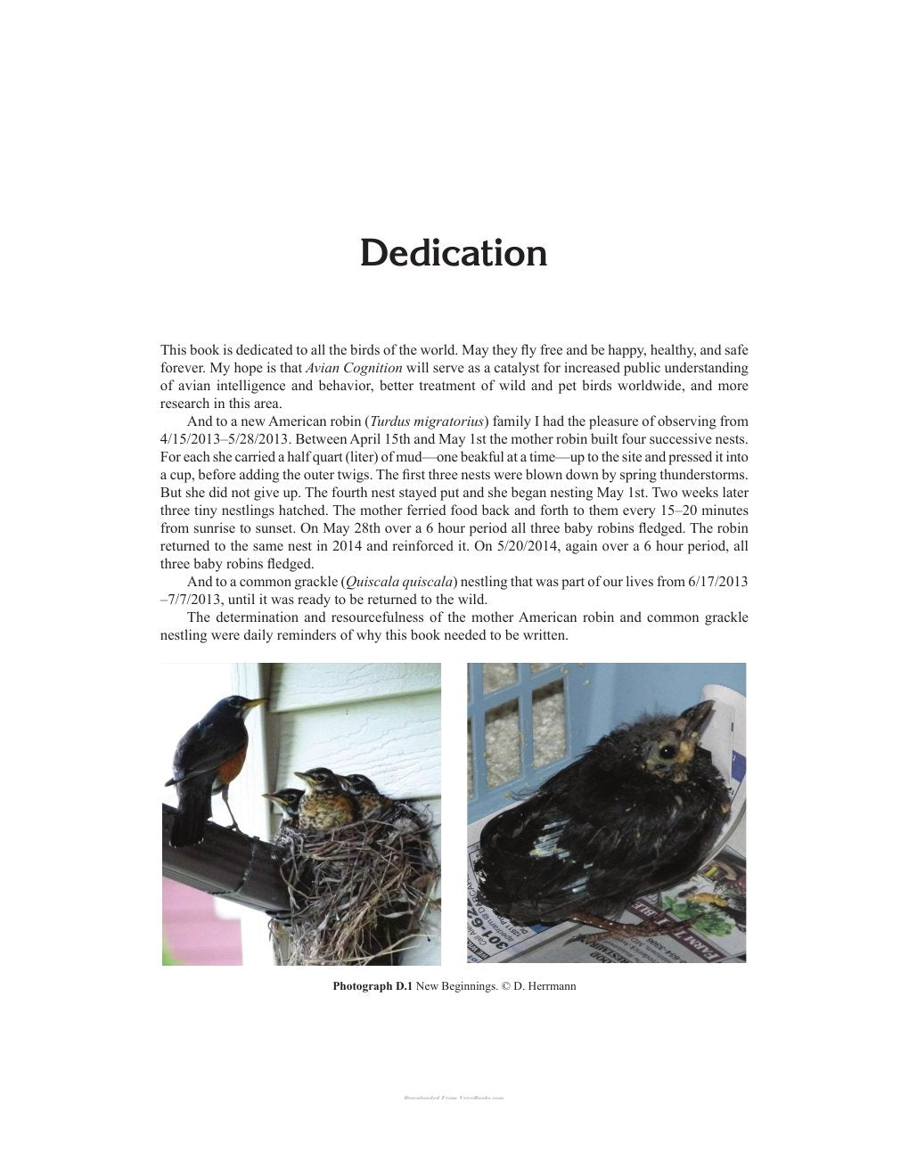 Look Inside page 6 - Avian Cognition Exploring The Intelligence Behavior And Individuality Of Birds