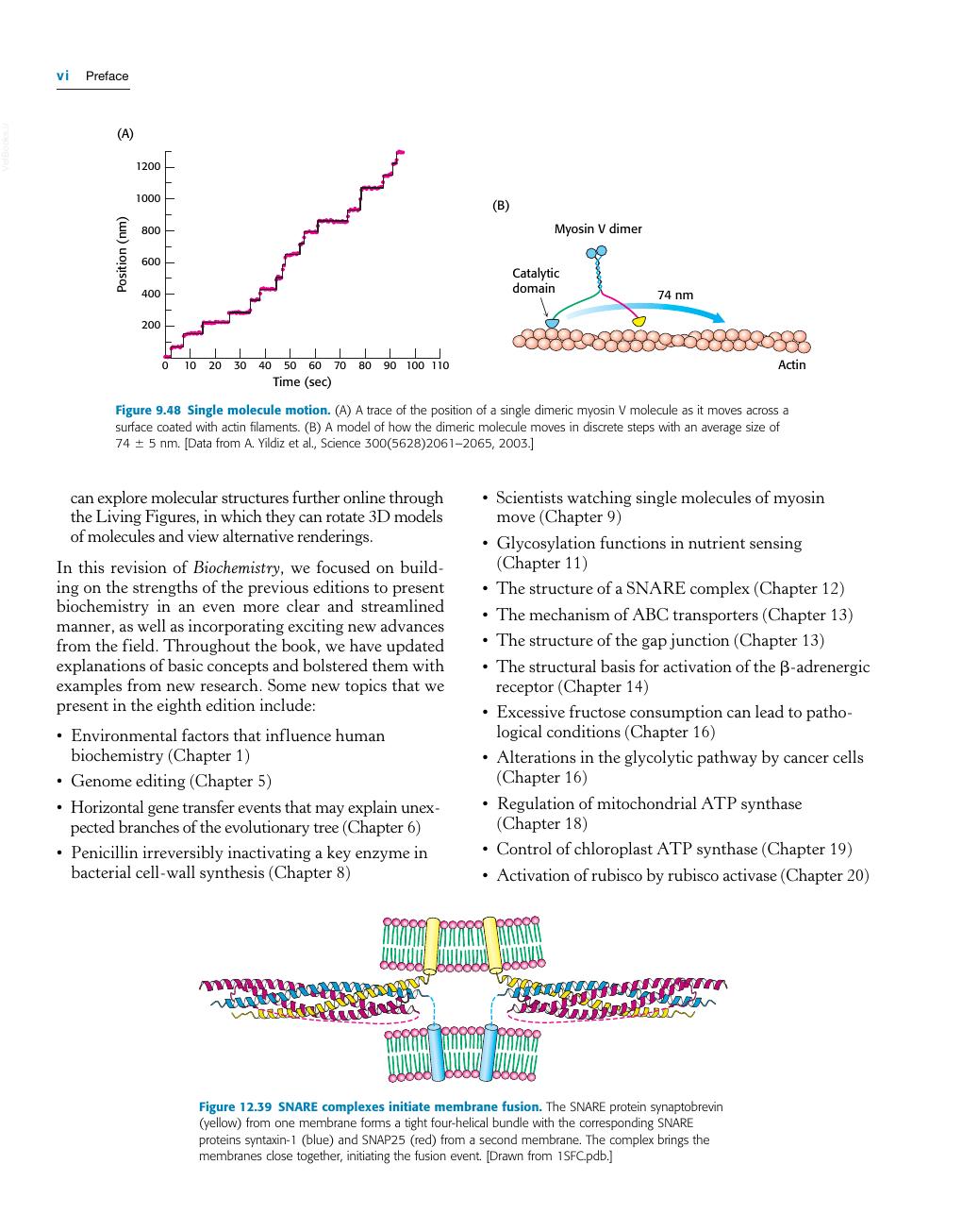 Look Inside page 7 - Biochemistry 8th Edition (Berg, Tymoczko, Gatto, Stryer)