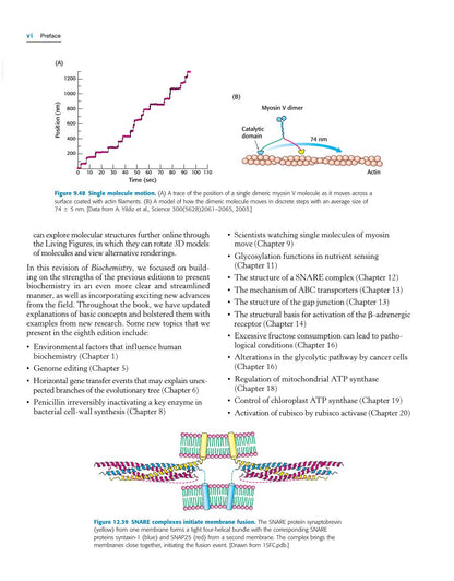 Look Inside page 7 - Biochemistry 8th Edition (Berg, Tymoczko, Gatto, Stryer)