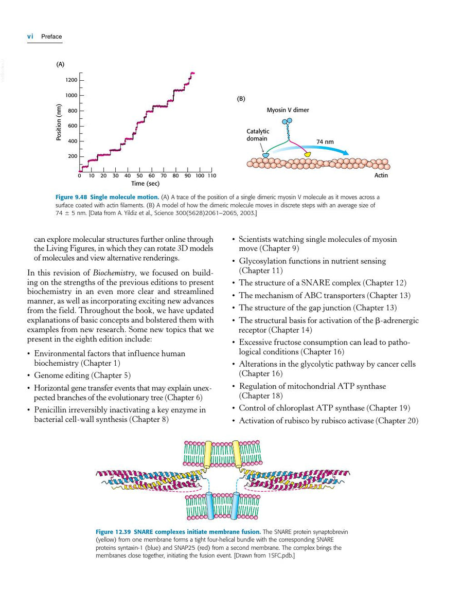 Preview page of Biochemistry 8th Edition (Berg, Tymoczko, Gatto, Stryer)