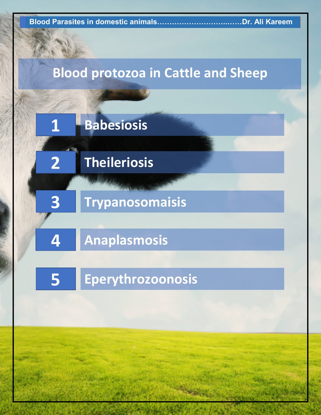 Look Inside page 4 - Blood Parasites In Domestic Animals