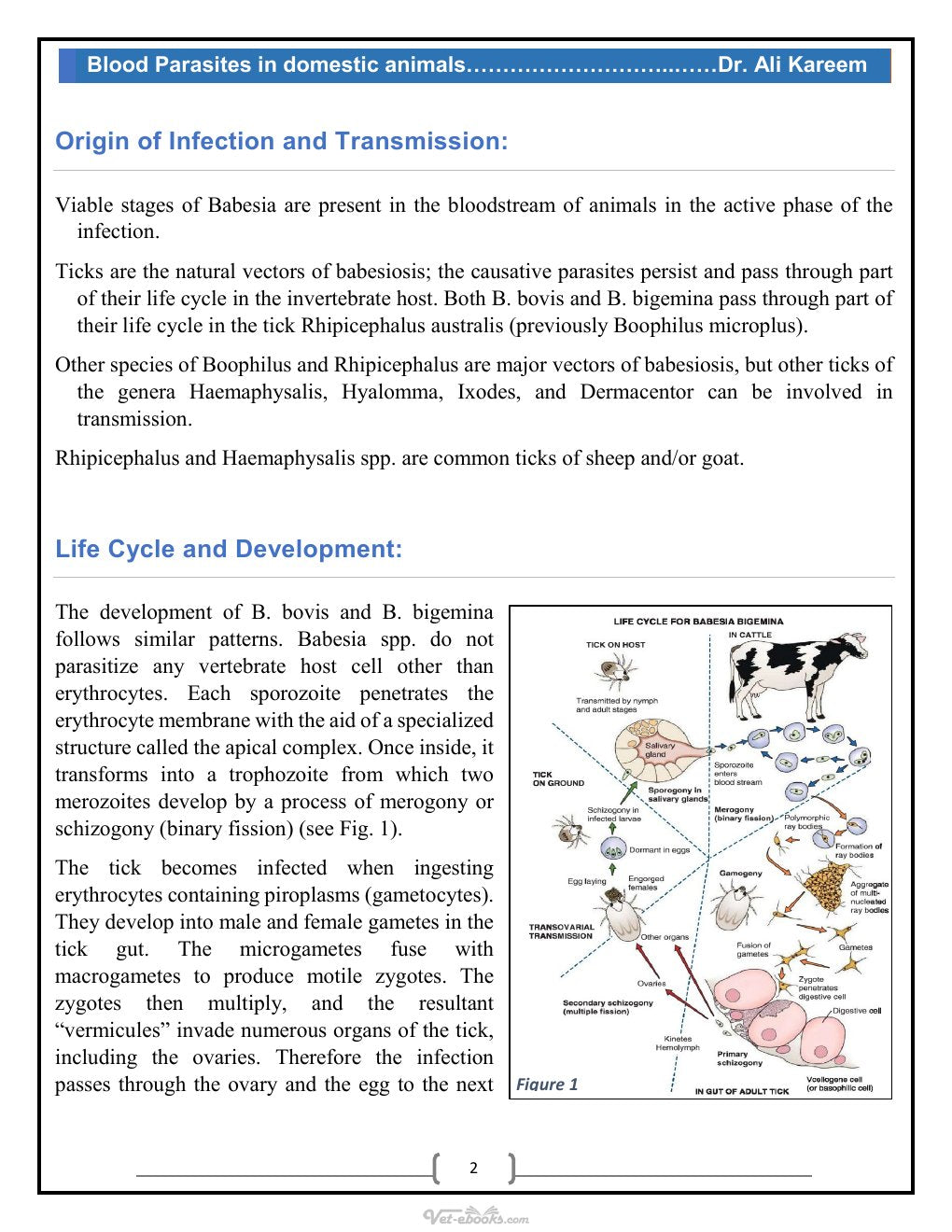 Look Inside page 6 - Blood Parasites In Domestic Animals