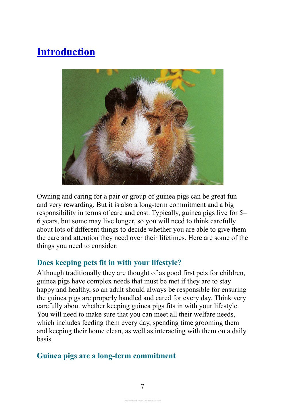 Look Inside page 8 - Care For Your Guinea Pigs
