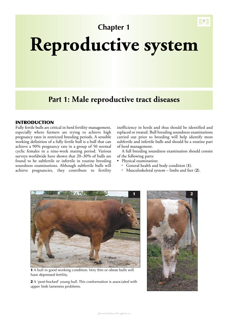 Look Inside page 8 - Cattle Medicine 1St Edition