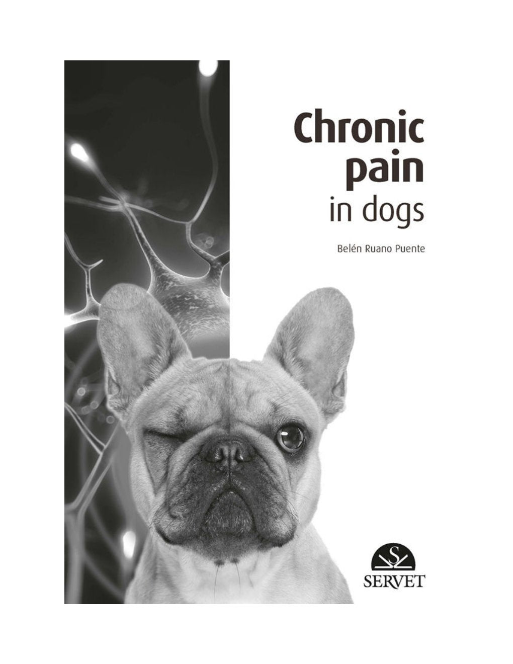 Look Inside page 5 - Chronic Pain In Dogs