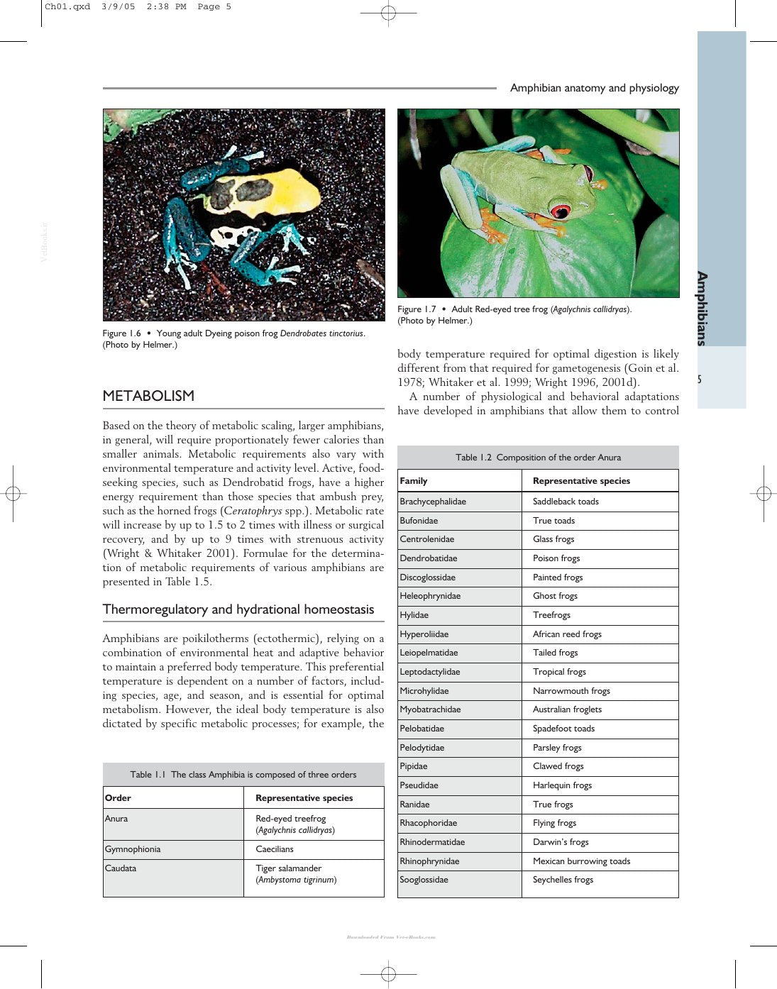 Look Inside page 7 - Clinical Anatomy And Physiology Of Exotic Species Structure And Function Of Mammals Birds Reptiles And Amphibians