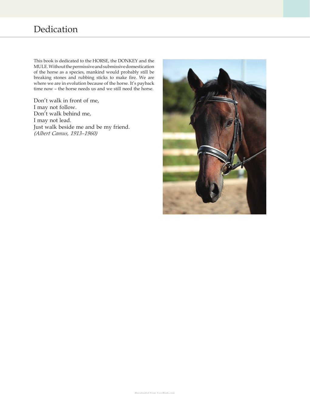 Look Inside page 7 - Clinical Equine Oncology
