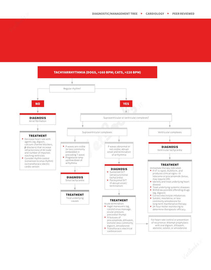Look Inside page 3 - Clinician's Brief Algorithms to Guide Your Diagnosis and Treatment