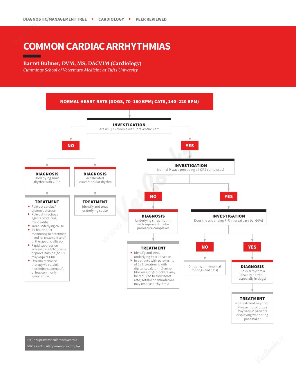 Look Inside page 4 - Clinician's Brief Algorithms to Guide Your Diagnosis and Treatment