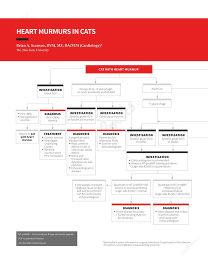 Look Inside page 5 - Clinician's Brief Algorithms to Guide Your Diagnosis and Treatment