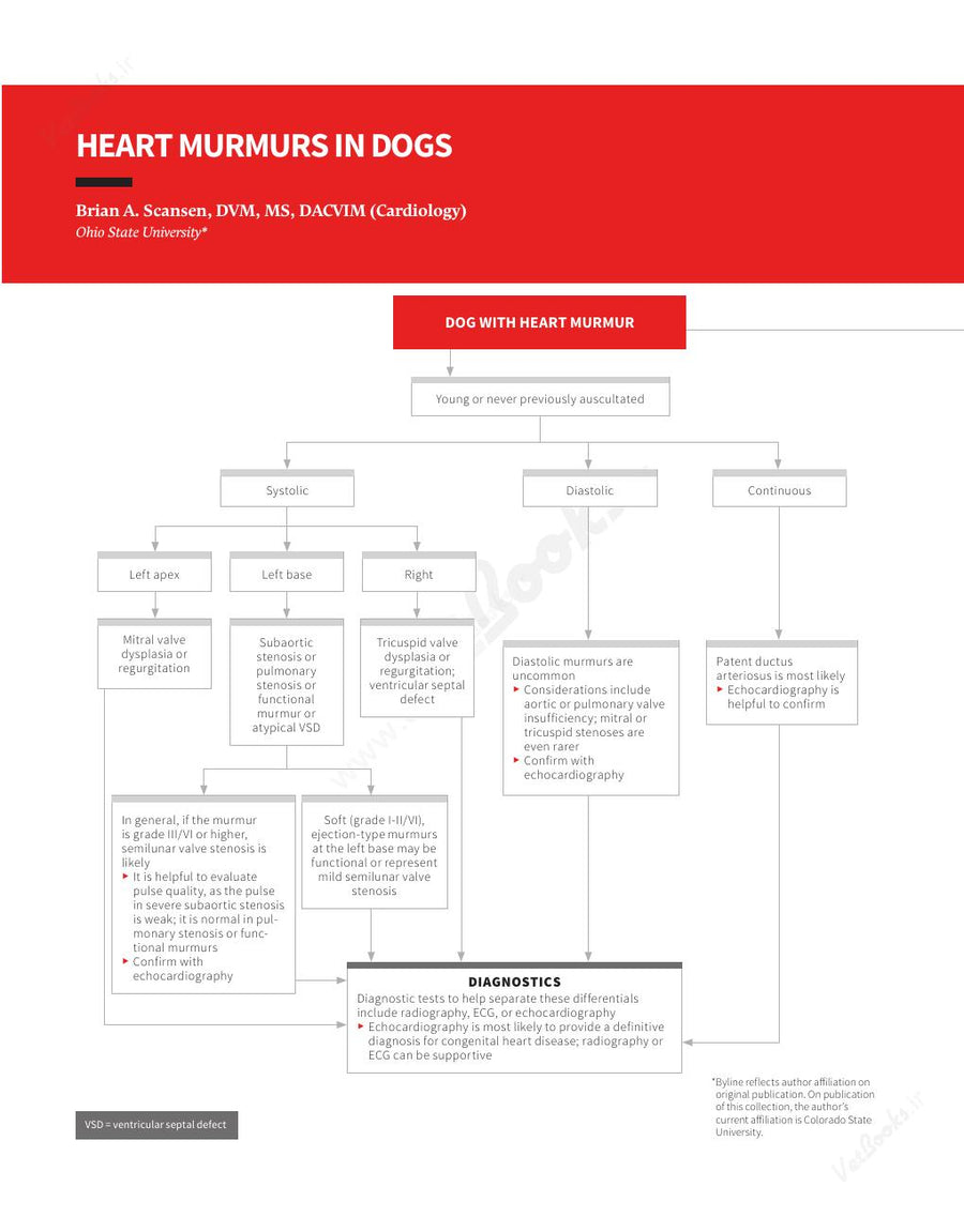 Preview page of Clinician's Brief Algorithms to Guide Your Diagnosis and Treatment