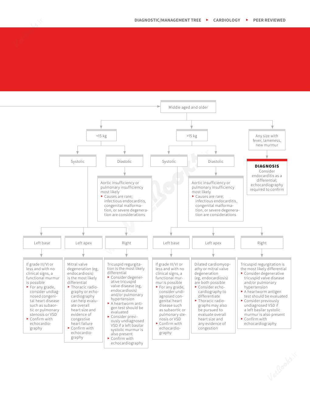 Clinician's Brief Algorithms to Guide Your Diagnosis and Treatment