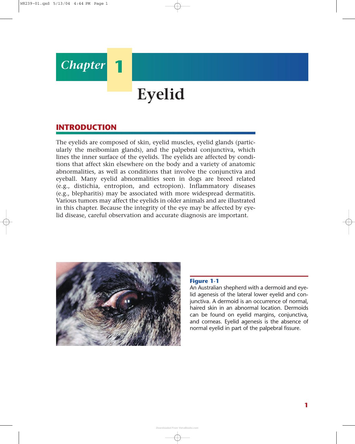 Look Inside page 4 - Color Atlas Of Canine And Feline Ophthalmology