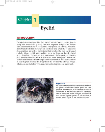 Look Inside page 4 - Color Atlas Of Canine And Feline Ophthalmology