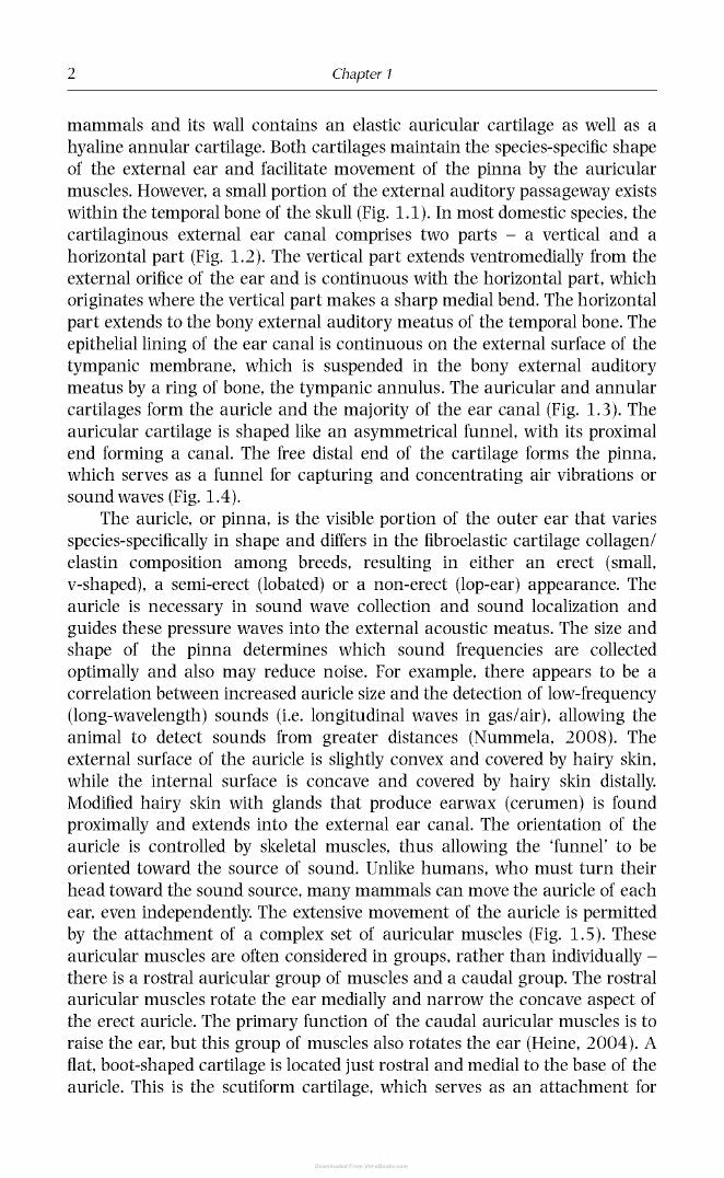 Look Inside page 10 - Deafness In Dogs And Cats