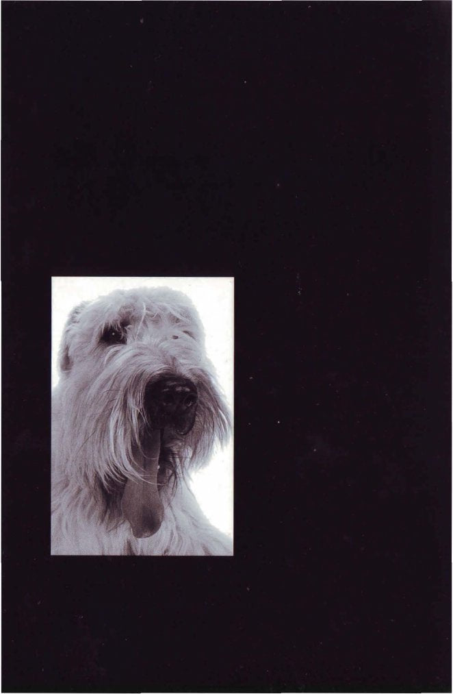 Look Inside page 2 - Dermatology For The Small Animal Practitioner