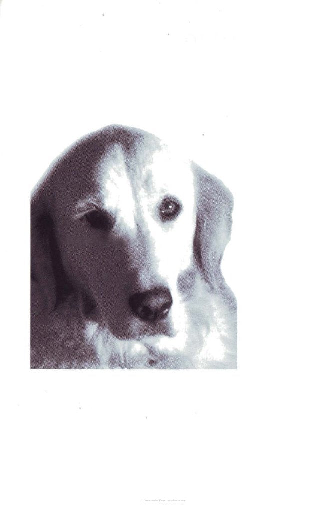 Look Inside page 6 - Dermatology For The Small Animal Practitioner