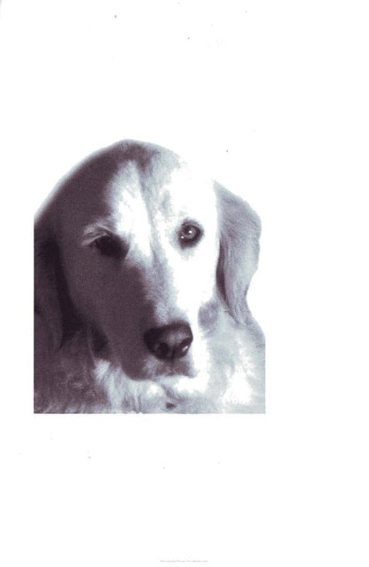 Look Inside page 6 - Dermatology For The Small Animal Practitioner