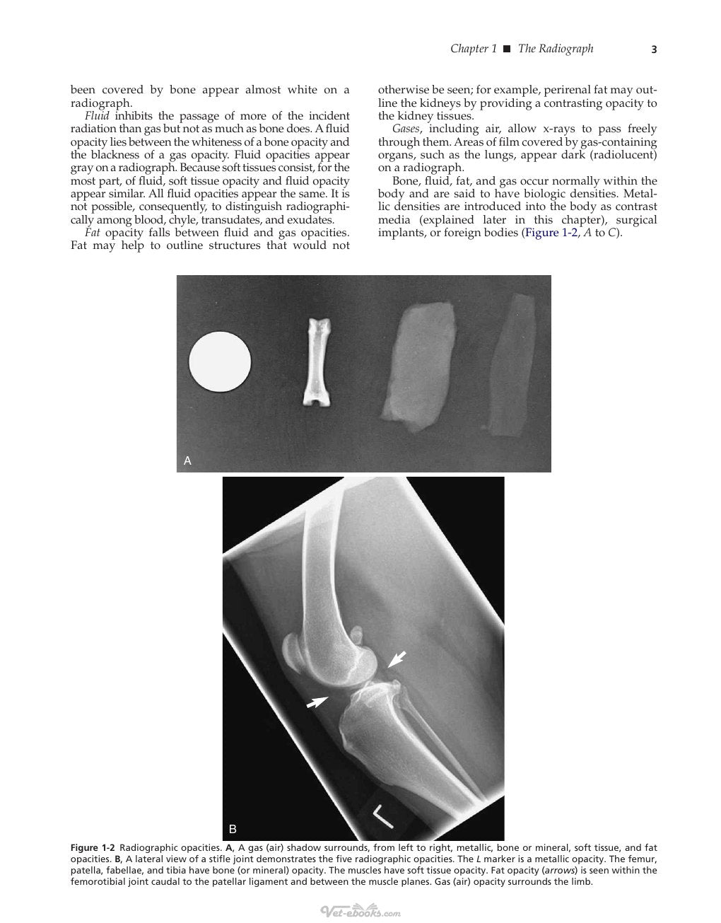 Look Inside page 8 - Diagnostic Radiology And Ultrasonography Of The Dog And Cat 5Th Edition