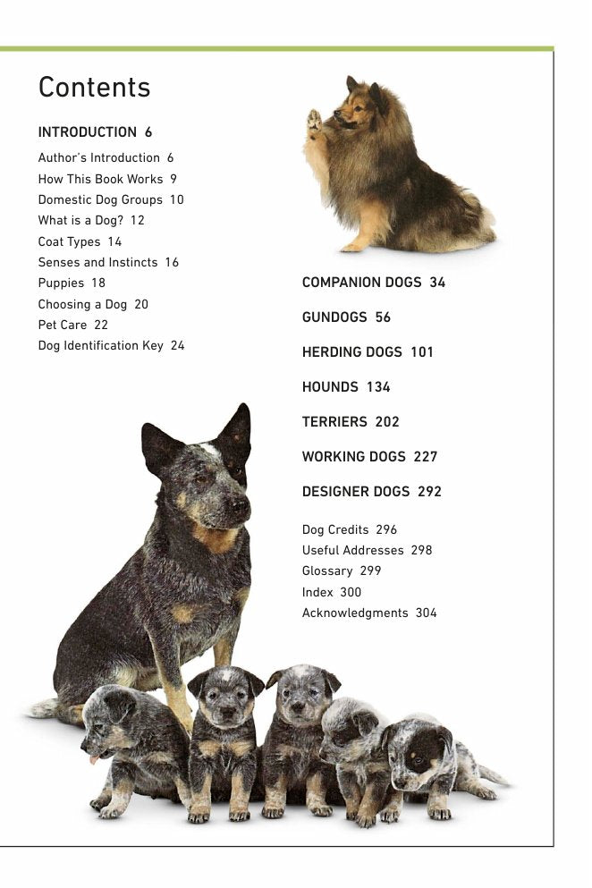 Look Inside page 7 - Dogs Dk Handbooks