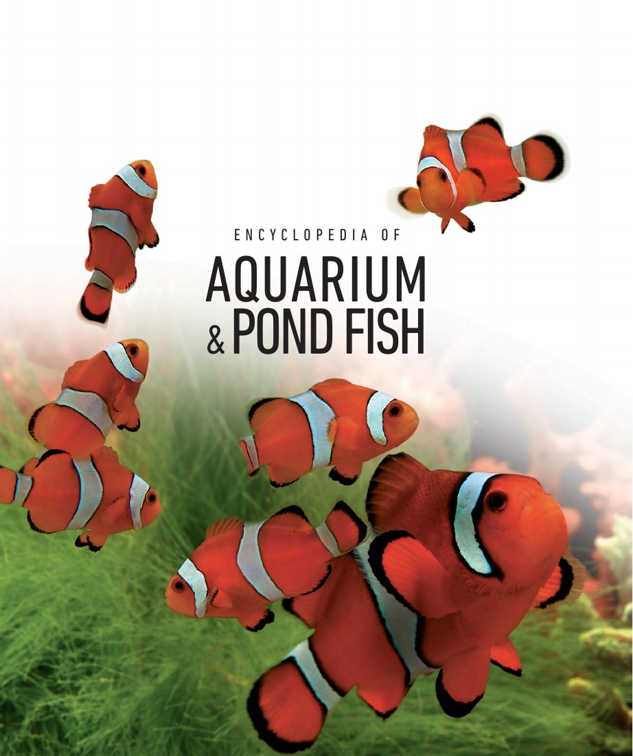 Look Inside page 3 - Encyclopedia Of Aquarium And Pond Fish