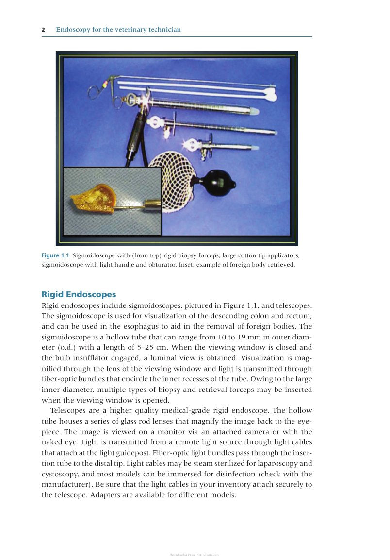 Look Inside page 8 - Endoscopy For The Veterinary Technician