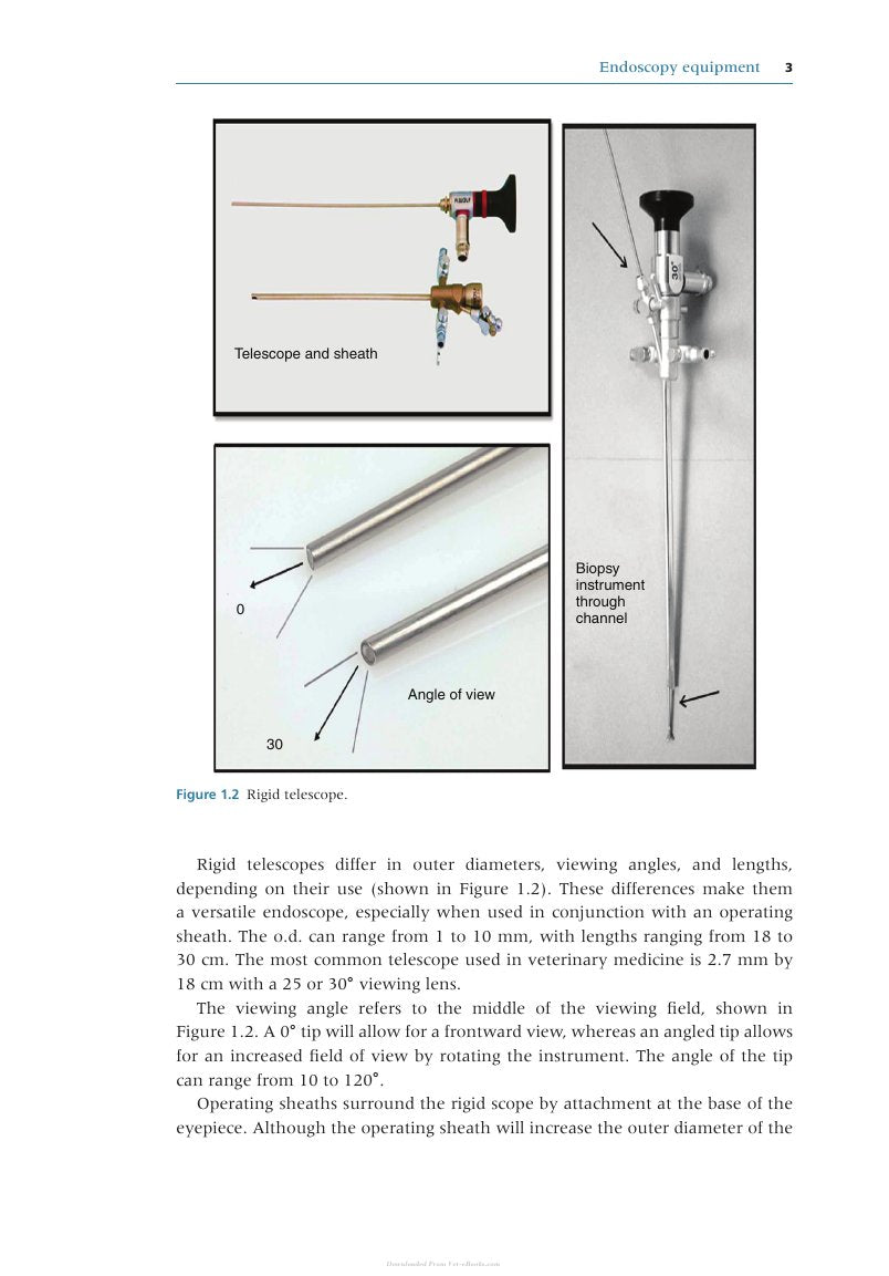 Look Inside page 9 - Endoscopy For The Veterinary Technician