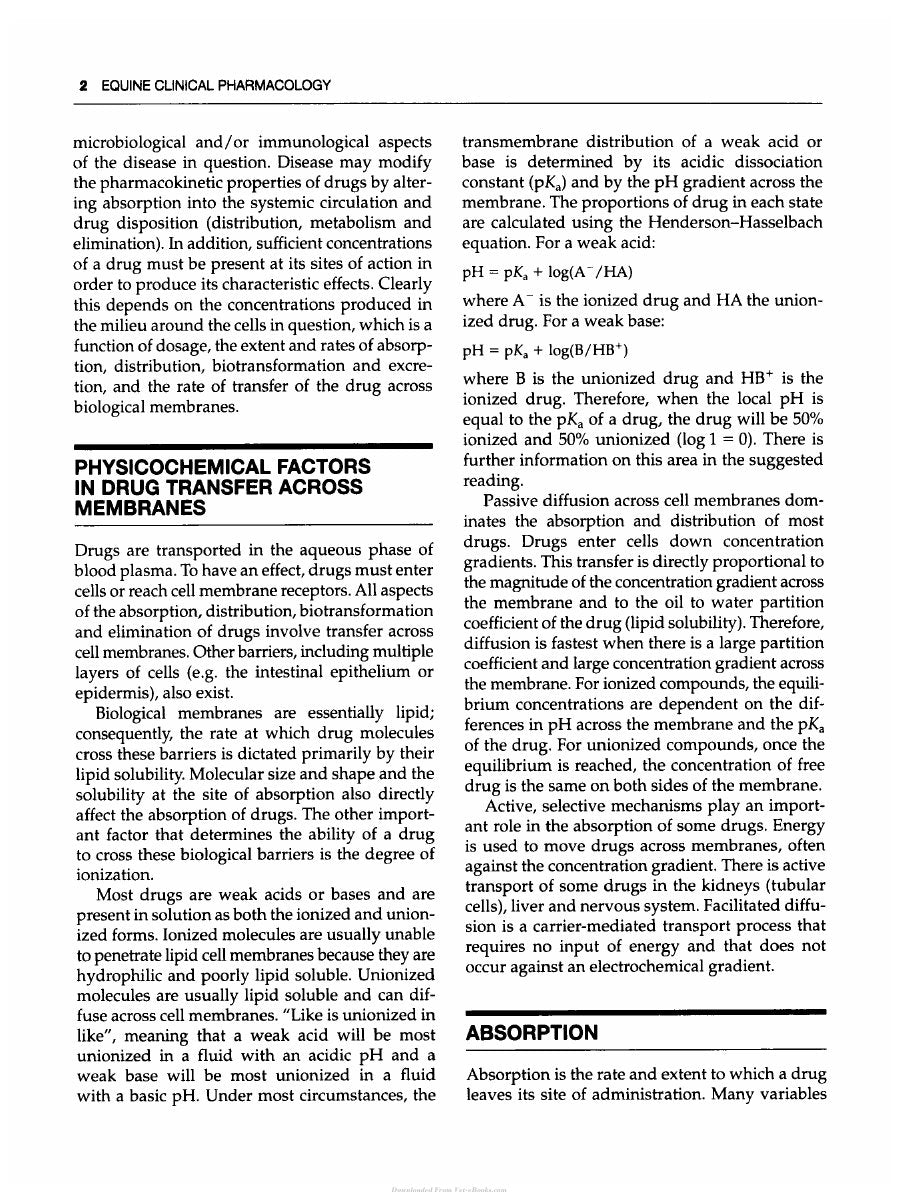 Look Inside page 7