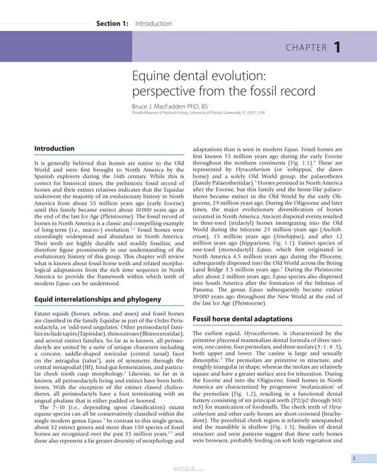 Look Inside page 6 - Equine Dentistry 3Rd Edition