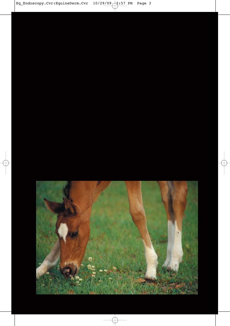 Look Inside page 2 - Equine Endoscopy And Arthroscopy For The Equine Practitioner