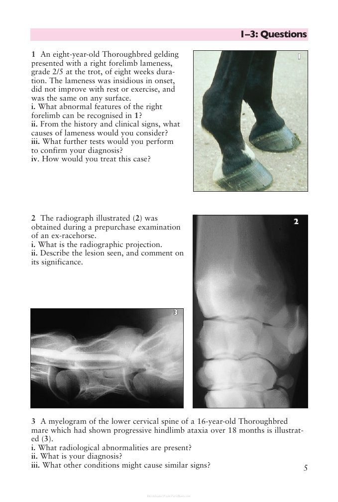 Look Inside page 6 - Equine Orthopaedics And Rheumatology Self Assessment Color Review