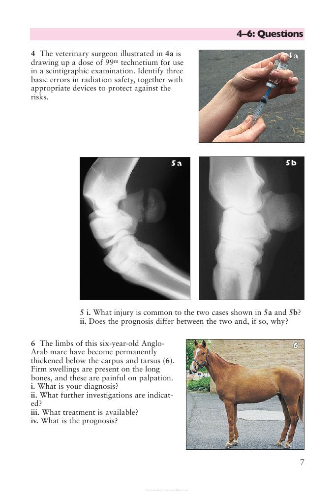 Look Inside page 8 - Equine Orthopaedics And Rheumatology Self Assessment Color Review