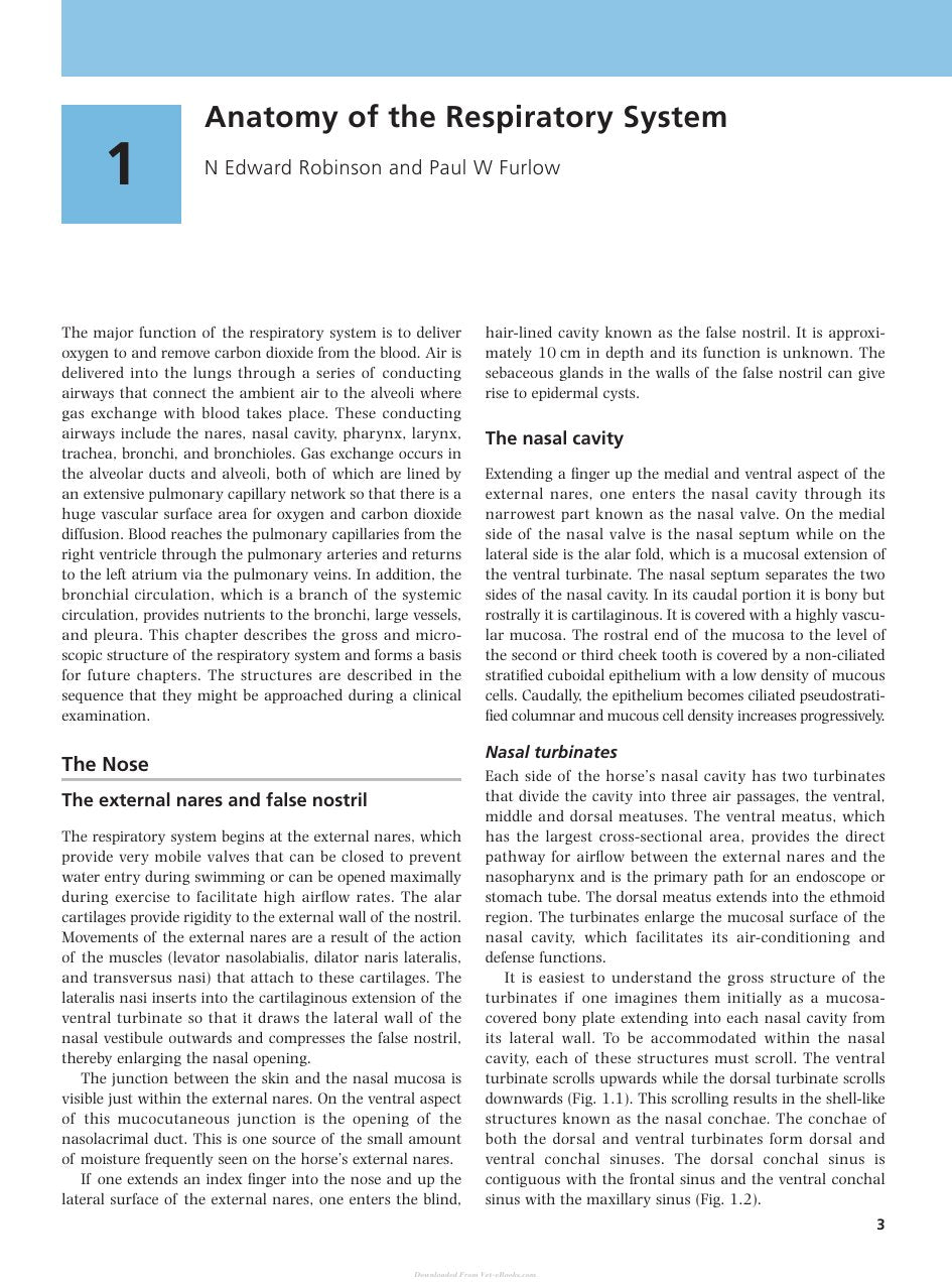 Look Inside page 8 - Equine Respiratory Medicine And Surgery