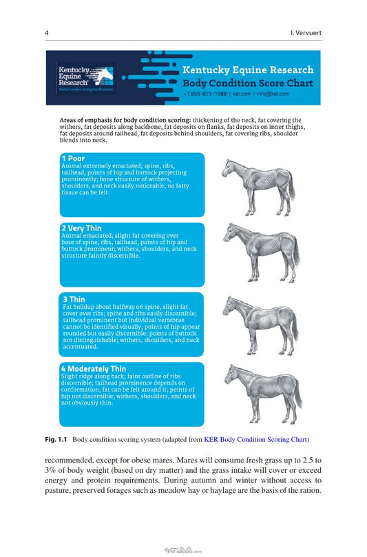 Look Inside page 10 - Feeding And Management Of Foals And Growing Horses