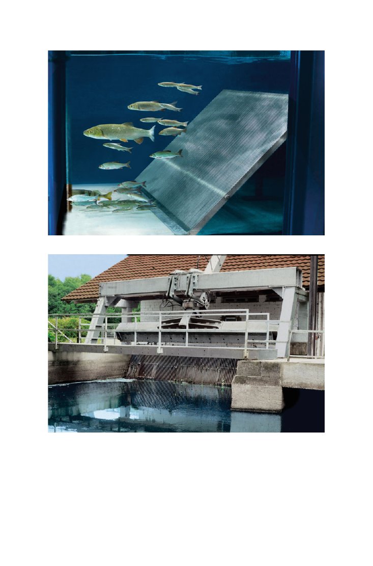 Look Inside page 3 - Fish Protection Technologies And Fish Ways For Downstream Migration