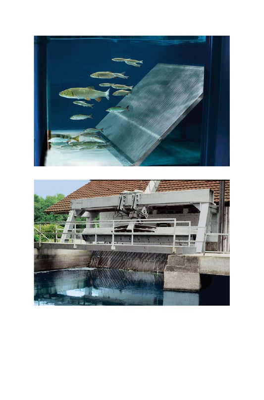 Look Inside page 3 - Fish Protection Technologies And Fish Ways For Downstream Migration